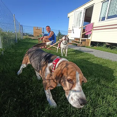 Apartamento Alfa Nr 3 *