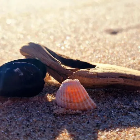 Alfa Nr 3 Apartamento